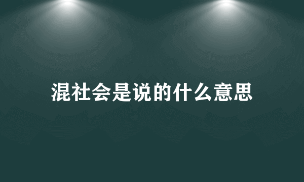 混社会是说的什么意思