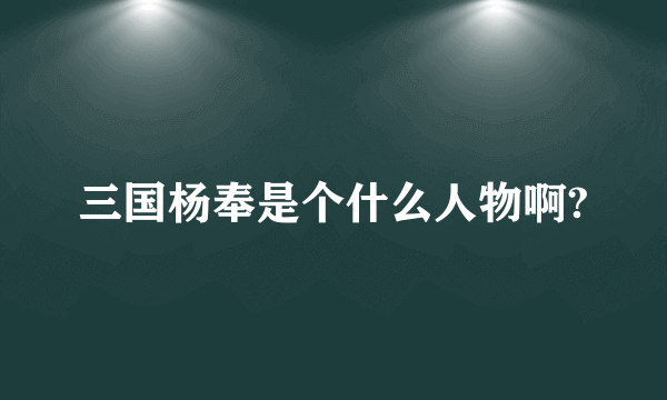 三国杨奉是个什么人物啊?