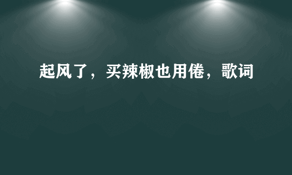 起风了，买辣椒也用倦，歌词