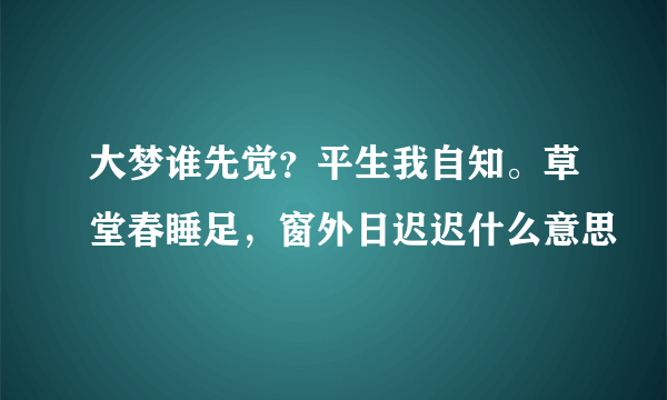 大梦谁先觉？平生我自知。草堂春睡足，窗外日迟迟什么意思