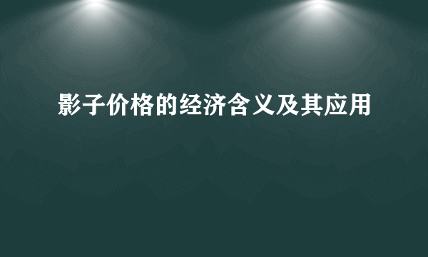 影子价格的经济含义及其应用