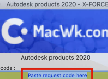 Paste-Request-Code-here是什么意思