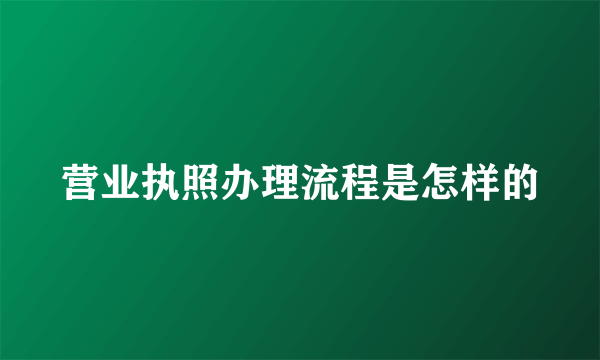 营业执照办理流程是怎样的