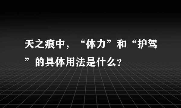 天之痕中，“体力”和“护驾”的具体用法是什么？