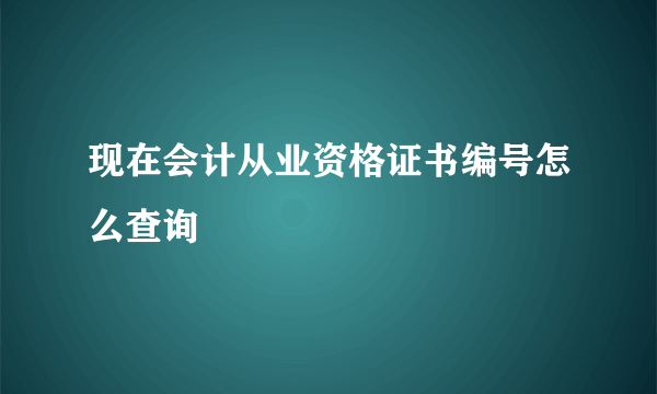 现在会计从业资格证书编号怎么查询