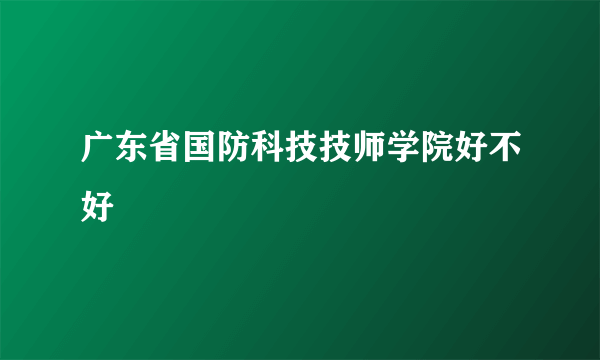 广东省国防科技技师学院好不好