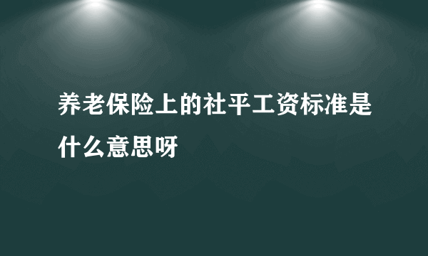 养老保险上的社平工资标准是什么意思呀