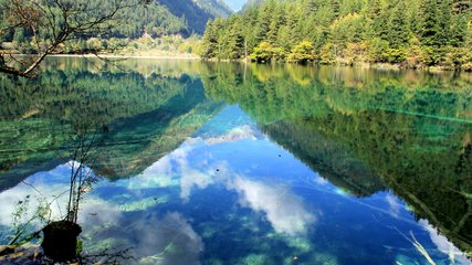 九寨沟景区到成都多少公里