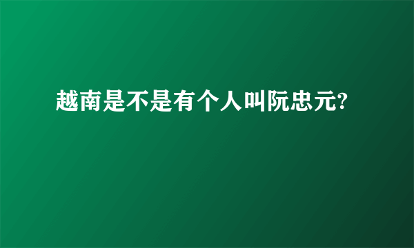 越南是不是有个人叫阮忠元?