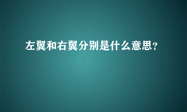 左翼和右翼分别是什么意思？