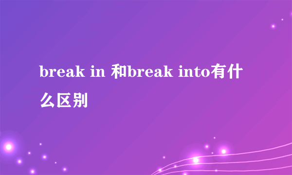 break in 和break into有什么区别