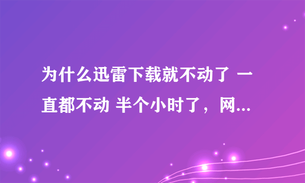 为什么迅雷下载就不动了 一直都不动 半个小时了，网速也很好啊。