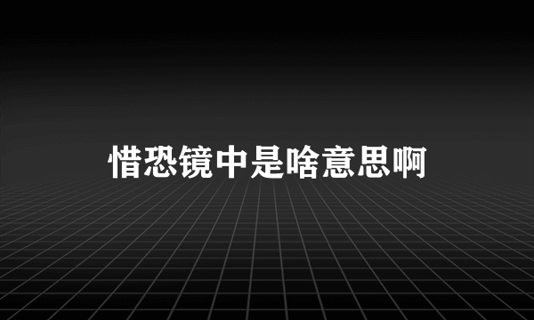 惜恐镜中是啥意思啊