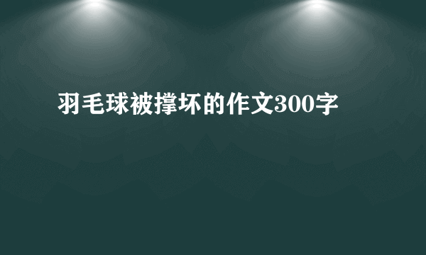 羽毛球被撑坏的作文300字