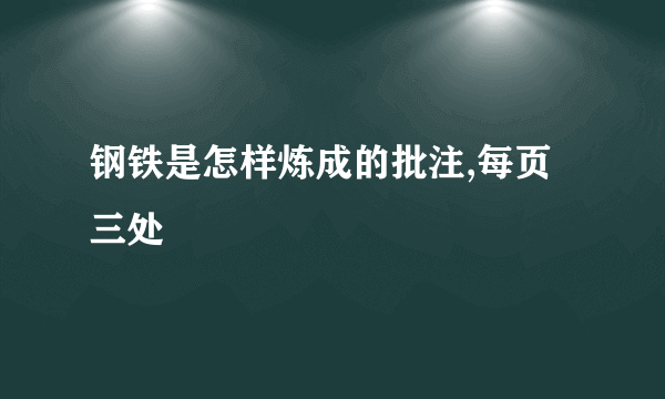 钢铁是怎样炼成的批注,每页三处