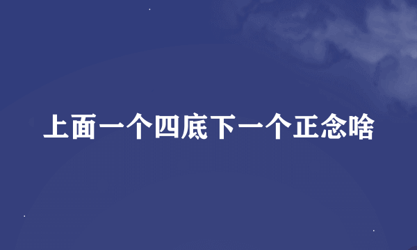 上面一个四底下一个正念啥