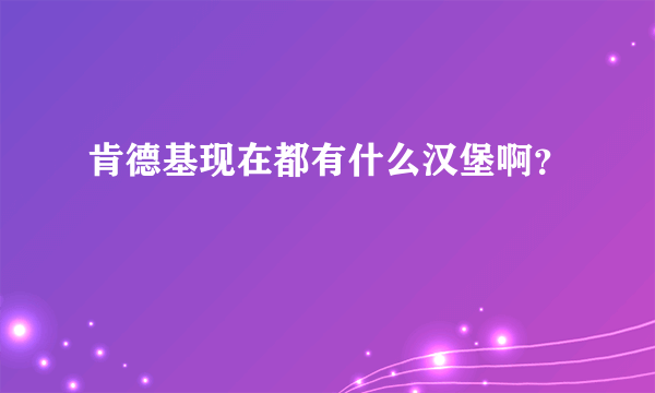 肯德基现在都有什么汉堡啊？