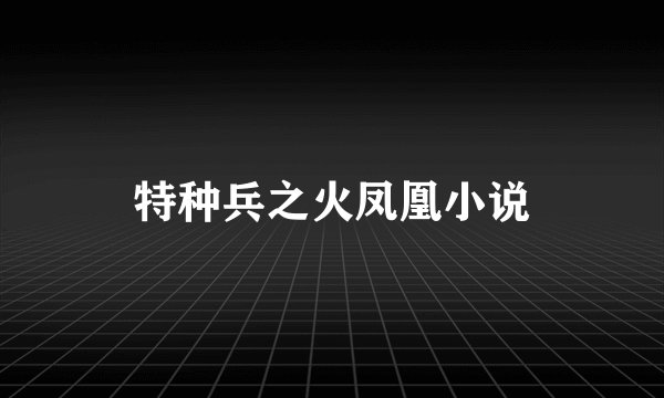 特种兵之火凤凰小说