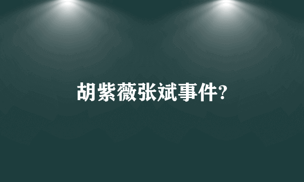 胡紫薇张斌事件?