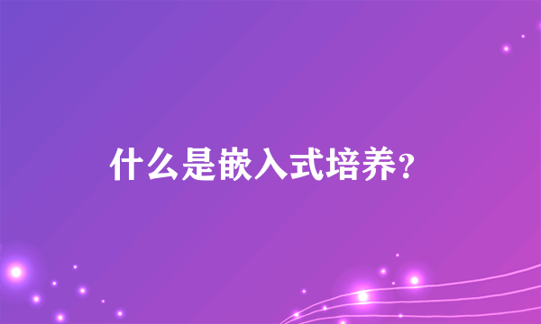 什么是嵌入式培养？