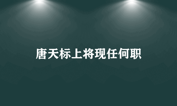 唐天标上将现任何职