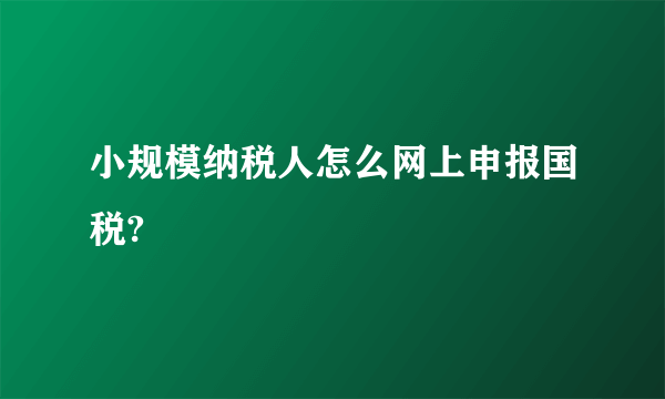 小规模纳税人怎么网上申报国税?