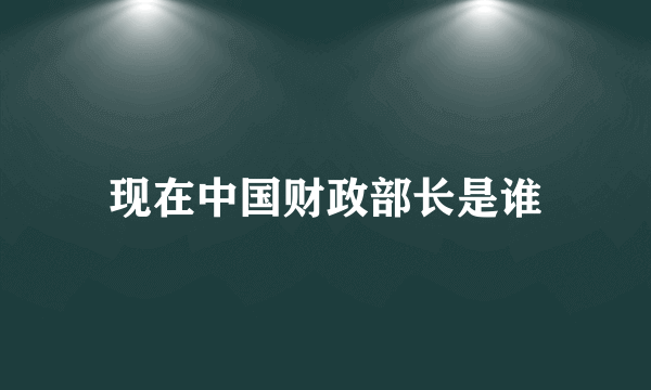 现在中国财政部长是谁