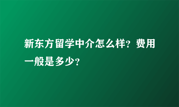 新东方留学中介怎么样？费用一般是多少？