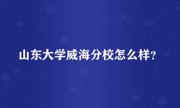 山东大学威海分校怎么样？