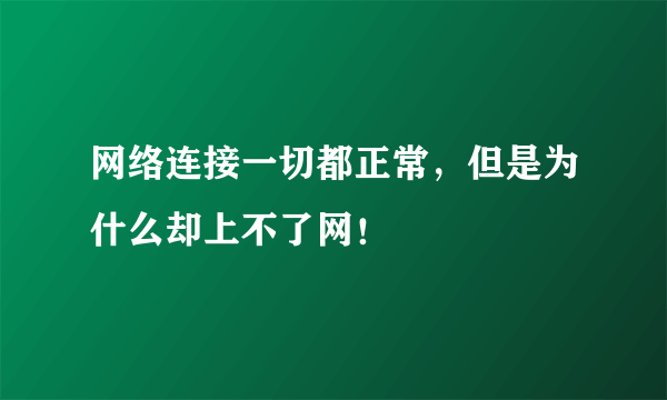 网络连接一切都正常，但是为什么却上不了网！