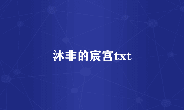 沐非的宸宫txt