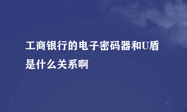 工商银行的电子密码器和U盾是什么关系啊