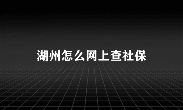 湖州怎么网上查社保