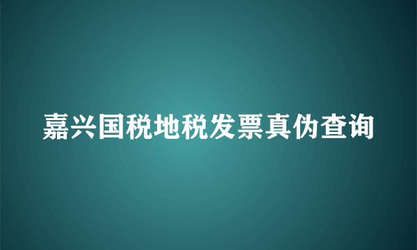 嘉兴国税地税发票真伪查询