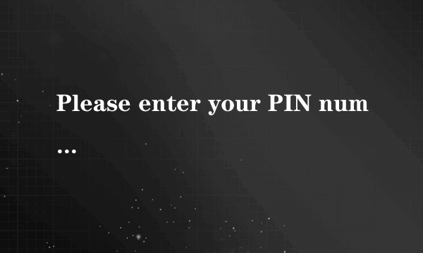 Please enter your PIN number.是什么意思