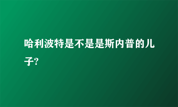 哈利波特是不是是斯内普的儿子?