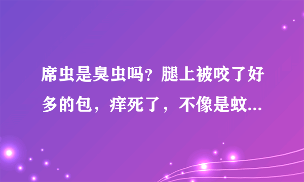 席虫是臭虫吗？腿上被咬了好多的包，痒死了，不像是蚊子咬的，怀疑是席虫？