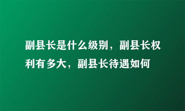 副县长是什么级别，副县长权利有多大，副县长待遇如何