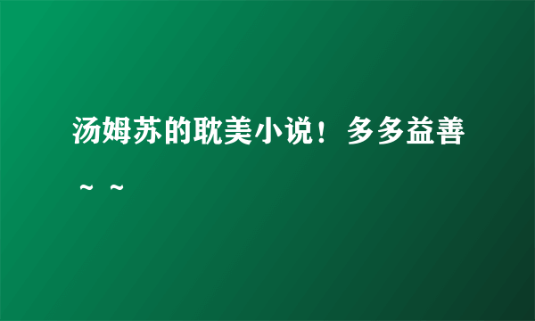 汤姆苏的耽美小说！多多益善～～