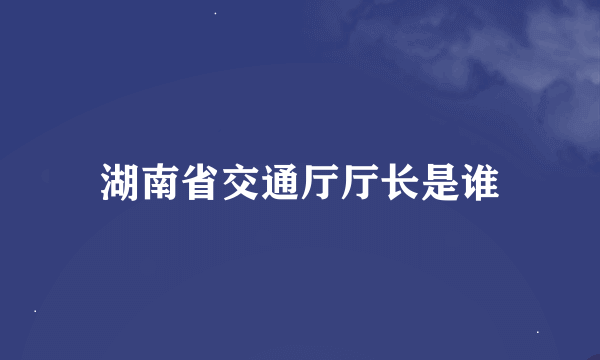 湖南省交通厅厅长是谁