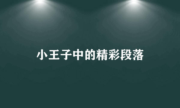 小王子中的精彩段落