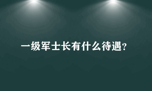 一级军士长有什么待遇？