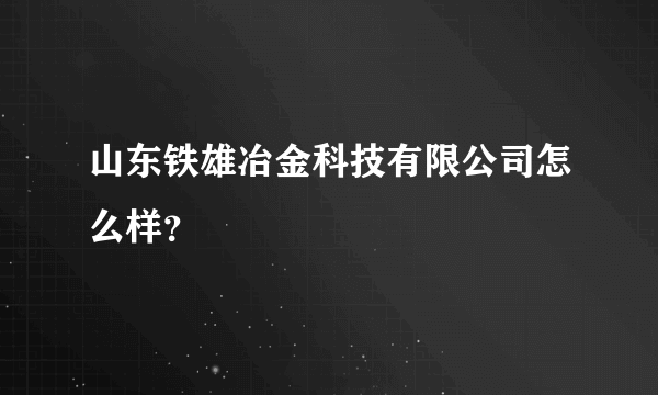 山东铁雄冶金科技有限公司怎么样？