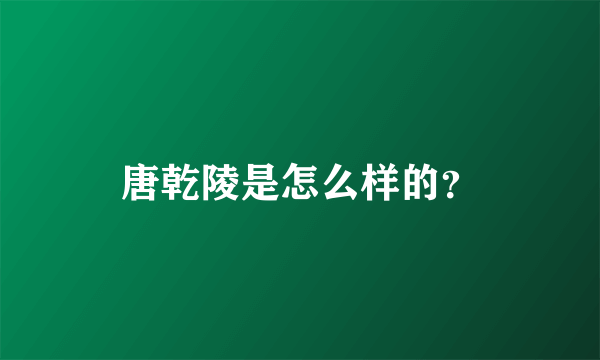 唐乾陵是怎么样的？