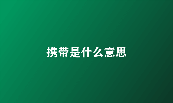 携带是什么意思