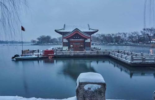 济南的冬天天儿越晴,水藻越绿,就凭这些绿得精神。。。。。。 赏析